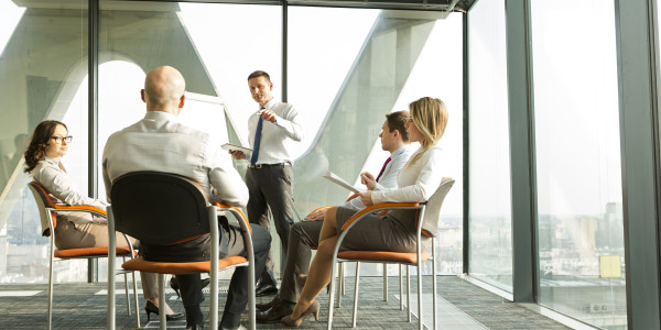 Coaching Emocional para Ejecutivos y Equipos Directivos · Cohesión del equipo